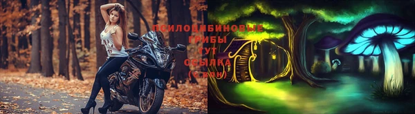 гидра Новозыбков