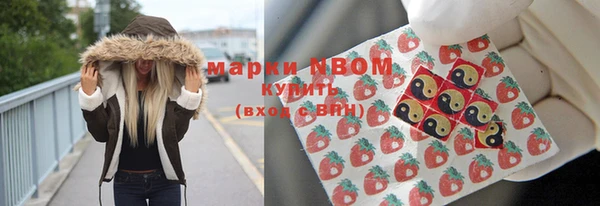 гидра Новозыбков