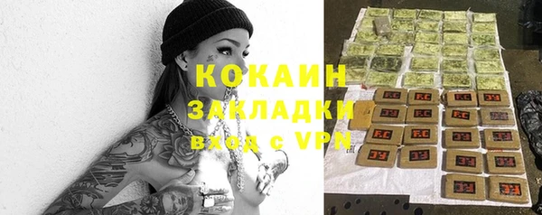 трава Новодвинск