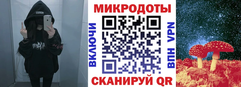 Галлюциногенные грибы Psilocybe  как найти наркотики  Зеленодольск 