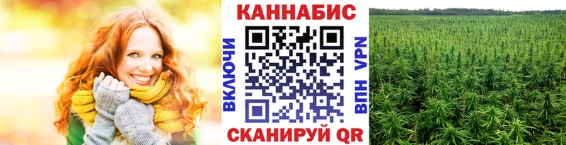 магазин  наркотиков  Зеленодольск  Канабис план 